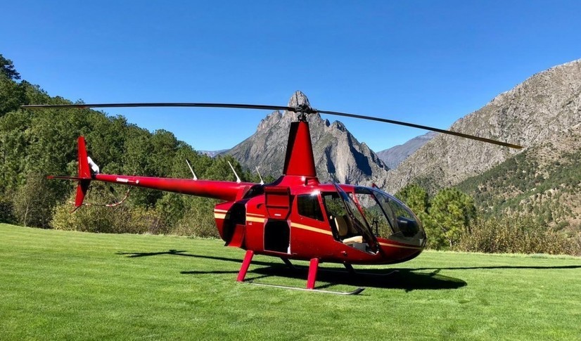 Robinson R44 Exterior