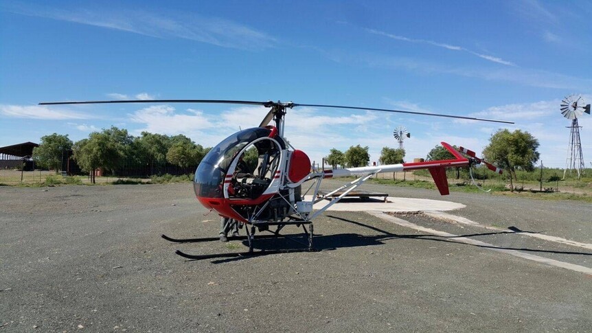 Schweizer 269C
