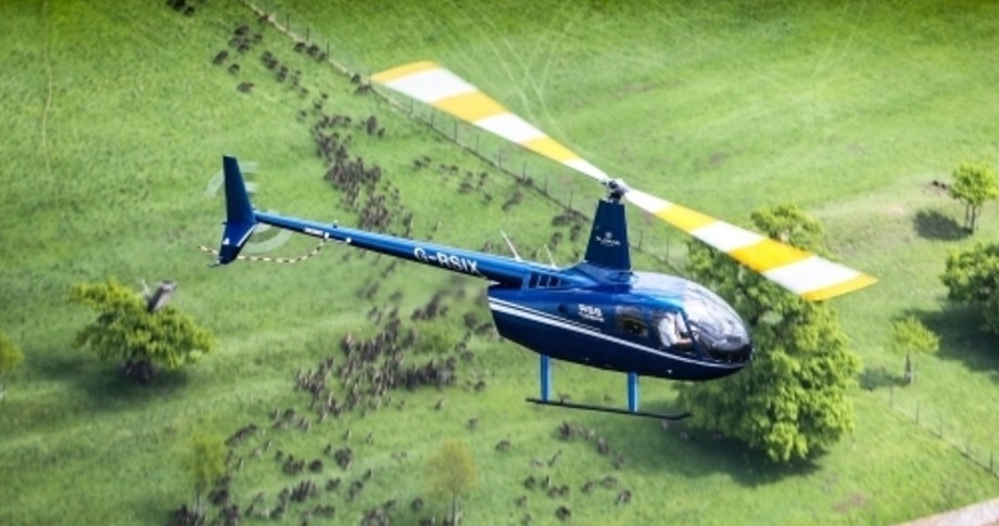 Robinson R66 Exterior