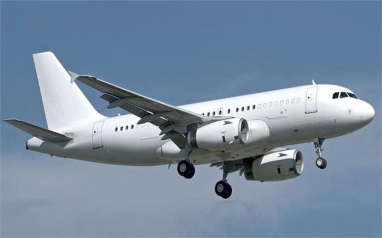 Airbus A319 In the sky