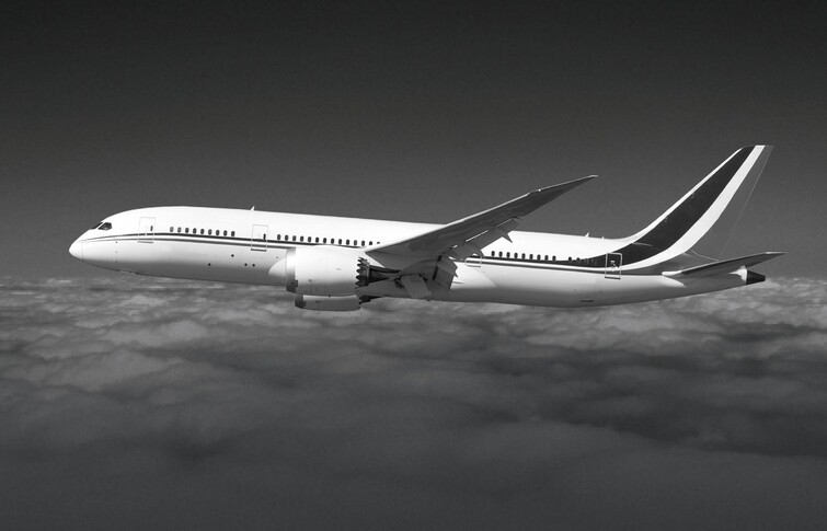 Boeing 787-8 In the sky